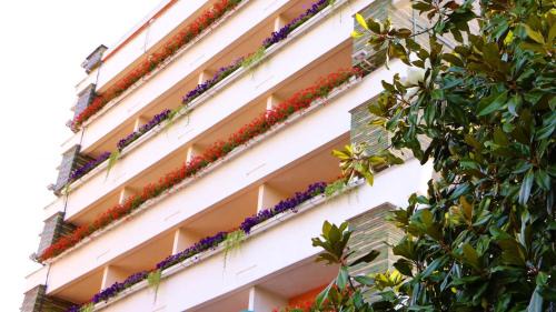 Baia Mare Hotel | Hotel Carpati