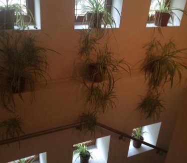 Otelu Rosu Hotel | Hotel Fiama