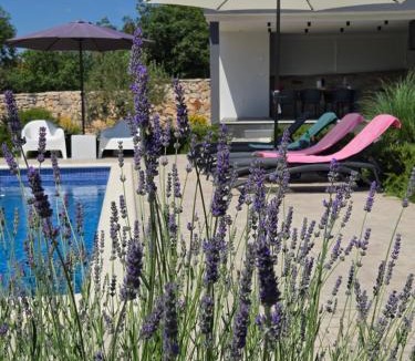 Seget Villa | House Adriano