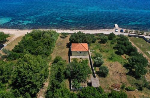 Banj House | House Ana