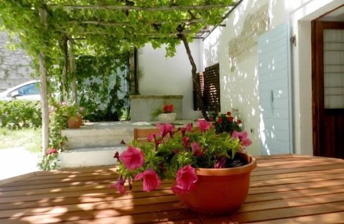 Lindar House | House Elena (75591-K1) - Lindar