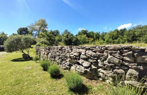 Buzet House | House Mlun