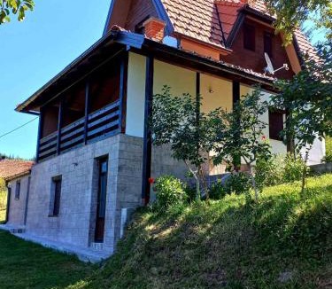 Bajina Basta House | House Tara Zaovine Sleeps 10