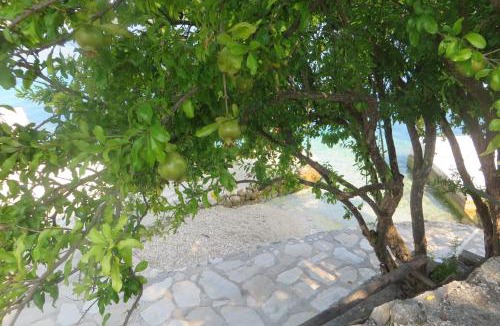 Kneza Apartment | I&J Relaxing Beach Apartments
