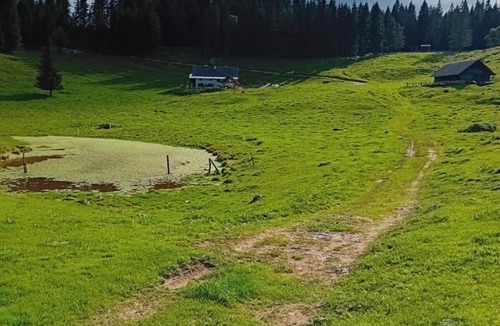 Gorje Apartment | Koča na Kranjski dolini Krnica 93 a,Pokljuka