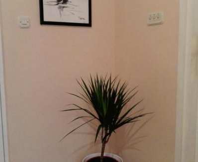 Jadrija Apartment | Kolombo Apartment