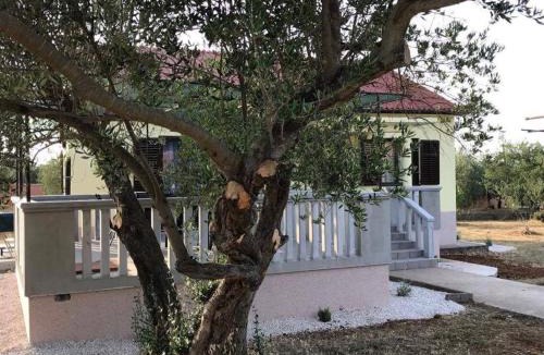 Ugljan House | Kuća za odmor Dido Ive