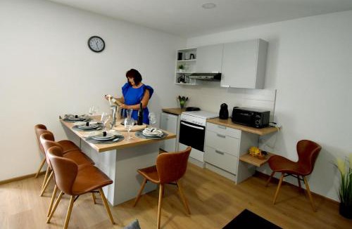 Kutjevo Villa | Kuća za odmor GRAŠEVINA