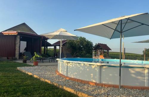 Karanac House | Kuća za odmor Kiss-Karanac,Baranja