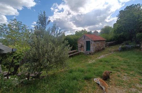 Citluk House | Kuća za odmor Milica