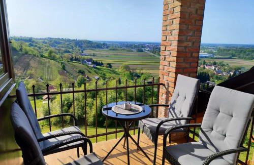 Ludbreg Villa | Kuća za odmor Orly, jacuzzi, sauna, prekrasan pogled