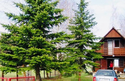 Brinje House | Kućica na osami