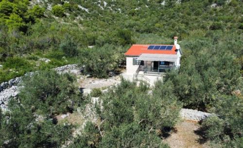 Island Dugi Otok House | Kuca za odmor Dragnjevica