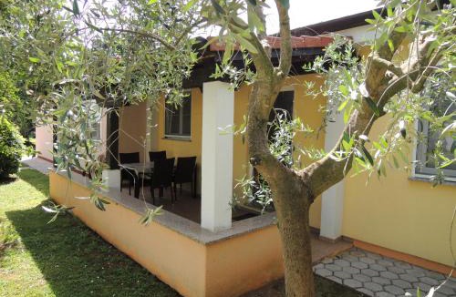 Vrvari House | Lavanda 3