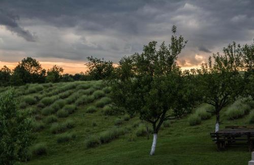 Rakovica Apartment | Lavanda farm apartmani