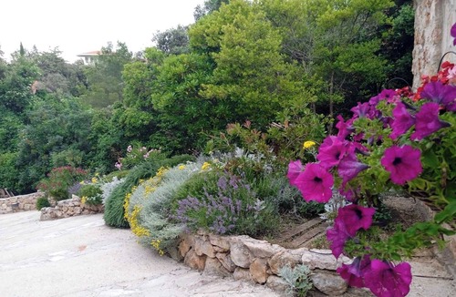 Stari Grad Villa | Lavender Hill Hvar