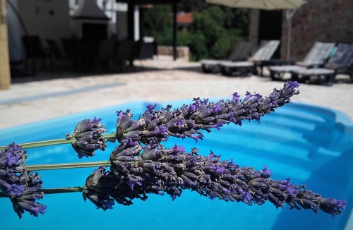Stari Grad Villa | LAVENDER HILL HVAR VILLA ****with pool,jacuzzi,sauna.