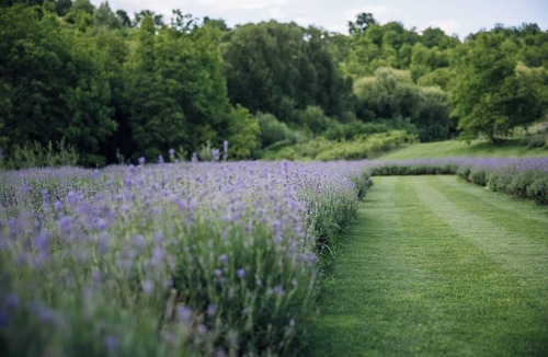 Maribor House | Lavender Retreat | With Jacuzzi and Sauna
