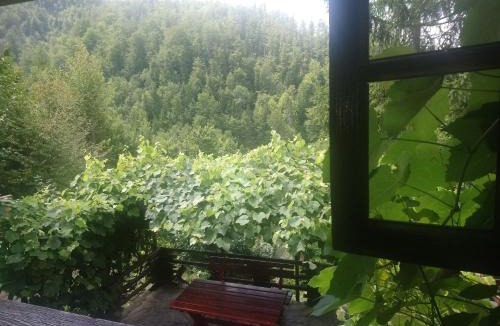 Bajina Basta Cabin | Little heaven 2
