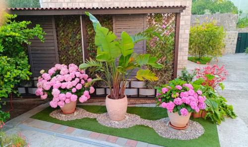 Komolac Apartment | Lovely Escape Close to Dubrovnik