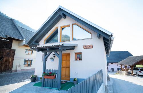 Zirovnica Apartment | Lovely Rustic House Pr' Čut