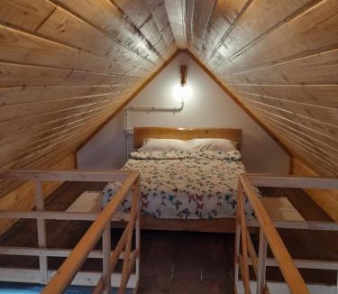 Fagaras House | Ludo