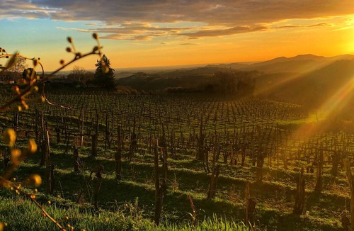 Brda Villa | Luxury Hilltop Vineyard Villa,Kojsko- 6BR/6BA, Private Pool, Endless Views