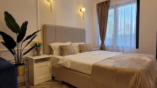 Sector 2 Apartment | Luxury Mansion
