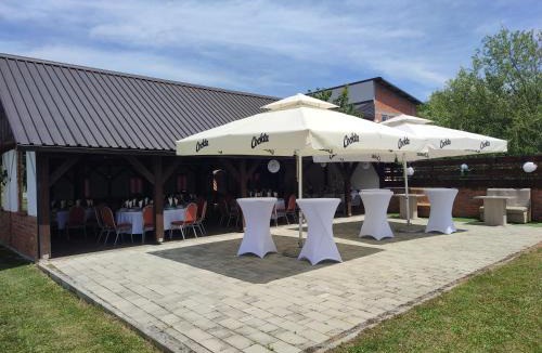 Staro Petrovo Selo House | Matin i Anin stan