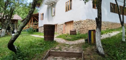 Breaza de Jos Other | Mesteceni Glamping