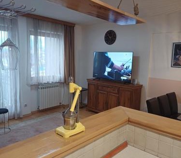Pale Apartment | Milutin
