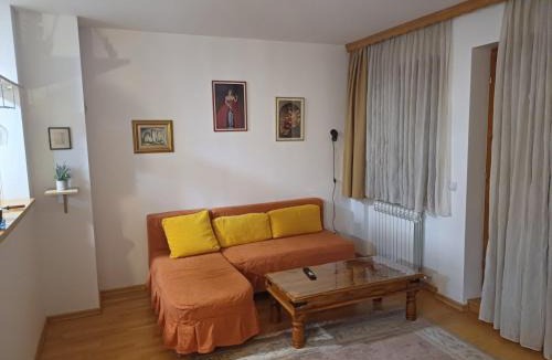 Pale Apartment | Milutin