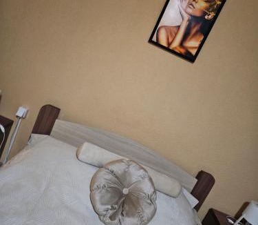 Mladenovac Hotel | Motel RUDNIK 2
