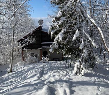 Comarnic House | Mountain Family Chalet on Prahova Valley - 1000 sqm private yard