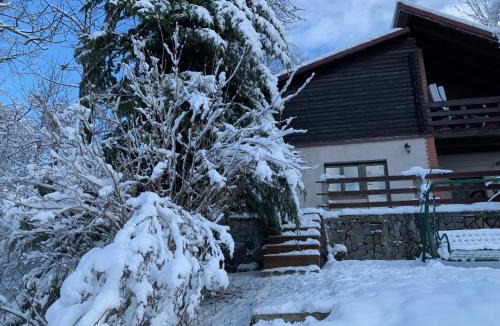 Comarnic House | Mountain Family Chalet on Prahova Valley - 1000 sqm private yard