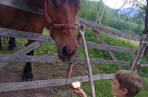 Rosia Montana Bed & Breakfast | Mountain Sanctuary Retreat , Romania