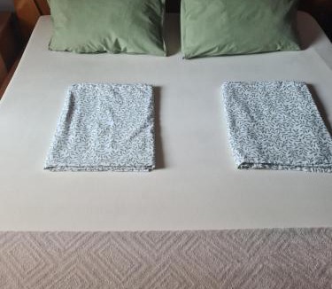 Podturen Apartment | Mura
