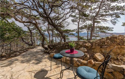 Bosana Apartment | Nice Apartment In Novalja With Kitchen