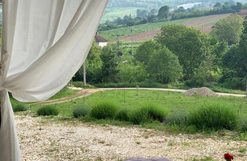 Arandelovac House | Nina