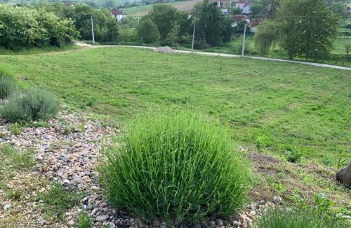 Arandelovac House | Nina