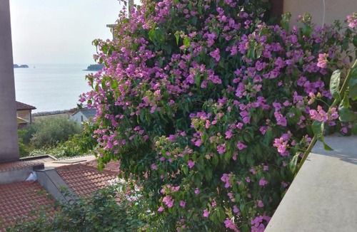 Rovinj Apartment | Nonna Marija Seven