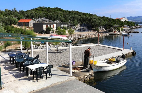 Putnikovic Apartment | One bedroom apartment near beach Žuronja, Pelješac (A-10123-b)