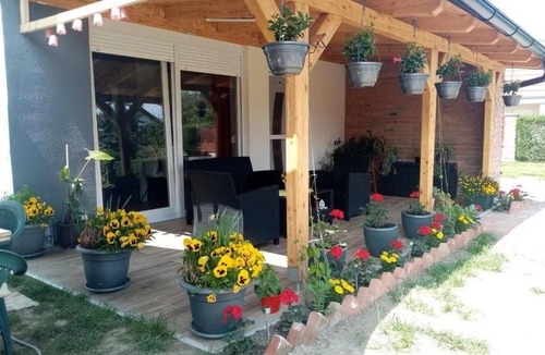 Valpovo Apartment | One bedroom apartment with terrace Valpovo, Slavonija (A-24020-a)