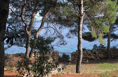 Zavala Apartment | One bedroom apartment near beach Zavala, Hvar (A-8774-b)
