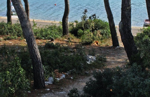 Municipality of Kali Apartment | One bedroom apartment near beach Cove Mala Lamjana, Ugljan (A-8461-b)