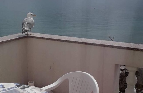 Krk Apartment | One bedroom apartment near beach Krk (A-5399-a)