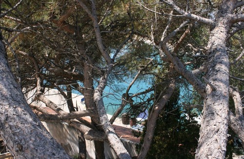 Mandre Apartment | One bedroom apartment with terrace and sea view Mandre, Pag (A-6474-c)