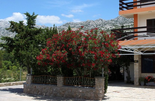 Starigrad Apartment | One bedroom apartment near beach Starigrad, Paklenica (A-6591-c)