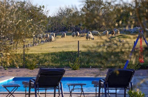 Rudine Villa | Otok Krk Villa Niko PET FRIENDLY 200 M FROM HIDDEN SANDY BEACH pets stays for free