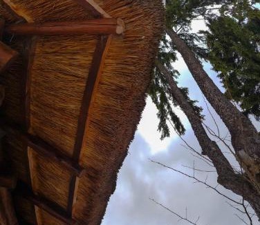 Borsec House | Papa la Șoni Gastro-Pensiune